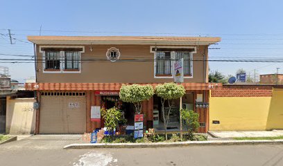 Madeinwood en Xalapa