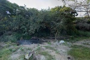 Maderas y Tarimas La Esperanza en Altamira