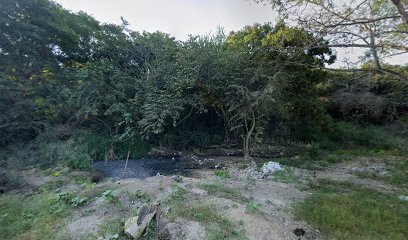 Maderas y Tarimas La Esperanza en Altamira