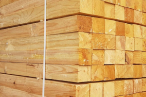 Maderería Torres en Oaxaca de Juárez