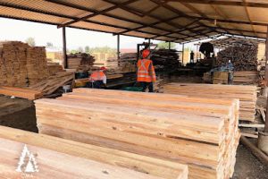 Maderería de Oaxaca Cma en Tehuacán