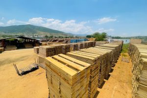 Productos Forestales y Derivados Ramsa en Oaxaca de Juárez