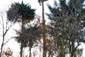 San Jose en Tehuacán