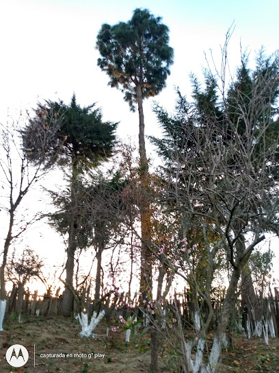 San Jose en Tehuacán