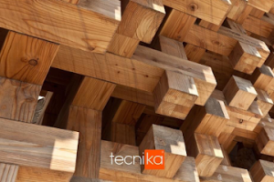 Tecnika en Playa del Carmen