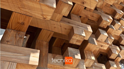 Tecnika en Playa del Carmen