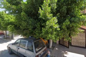 Carpintería Torres en Torreón