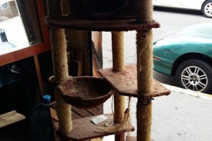 Carpinteros Ebanistas en Cuajimalpa de Morelos