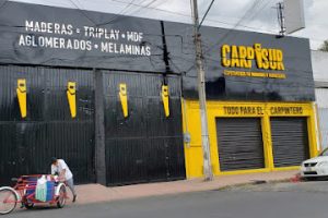 Carpisur Santiago en Iztacalco