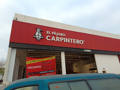 El Pájaro Carpintero - Guadalupe en Guadalupe