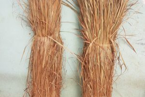 Bodega Zacate y Madera en Playa del Carmen