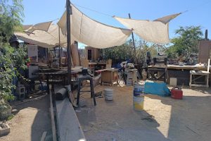 Carpintería Don Dani en Cabo San Lucas