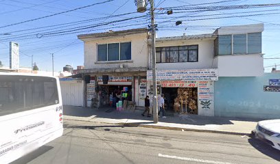 Carpintero Chambon en Puebla