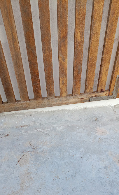 Contmpo en Mérida