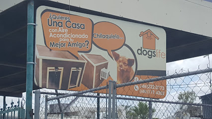 Dogslife en Mexicali