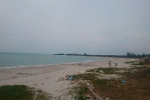 Jacop Carpintería en Tampico