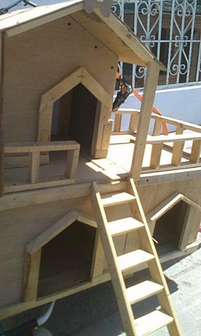 Jerry Casitas Para Mascotas en Tijuana