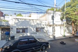 Oso Carpintero en Benito Juárez