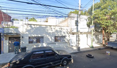 Oso Carpintero en Benito Juárez