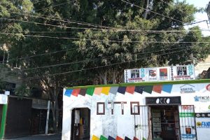 Venta de Barnices Otto en Tehuacán