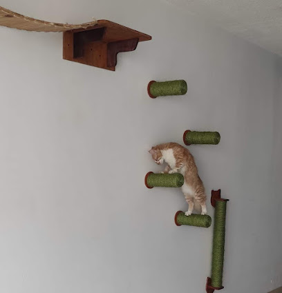 Ayeipets en Naucalpan