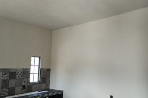 Carpintodo en Celaya