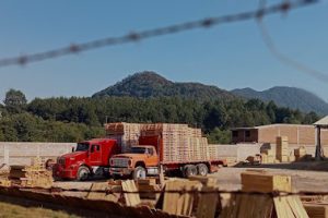 Ensa Empaque y Embalaje de Madera en Celaya