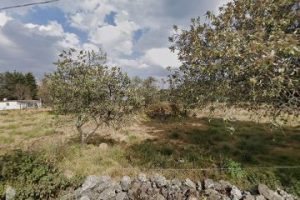 Luis Rivera Trabajos de Carpintería en Xochimilco