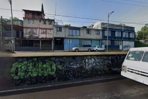 Xylomanía en Xochimilco