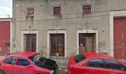 Álamo en Mérida