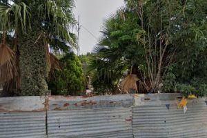 Alquiladora de Madera S&G en Tehuacán