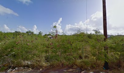 Carpenter Wood en Matamoros