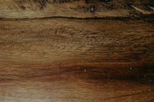 Carpintería Alonso en Oaxaca de Juárez