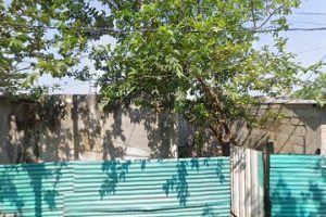 Carpintería Caballero en Veracruz