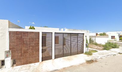 Celeus en Mérida