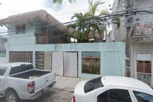 Empresa Venta de Zacate y Madera en Playa del Carmen