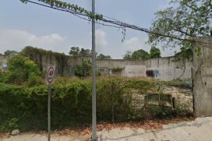 Muebles y Tallados de Cedro en Tampico
