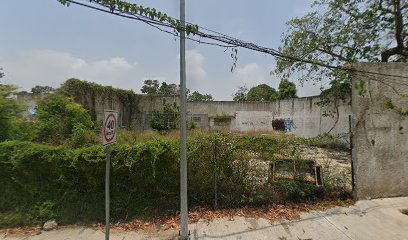 Muebles y Tallados de Cedro en Tampico