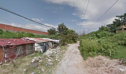 Parota Tepic en Tepic