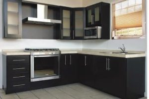 Ramos Kitchen en San Nicolás de los Garza