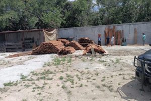 Todo en Madera en Playa del Carmen